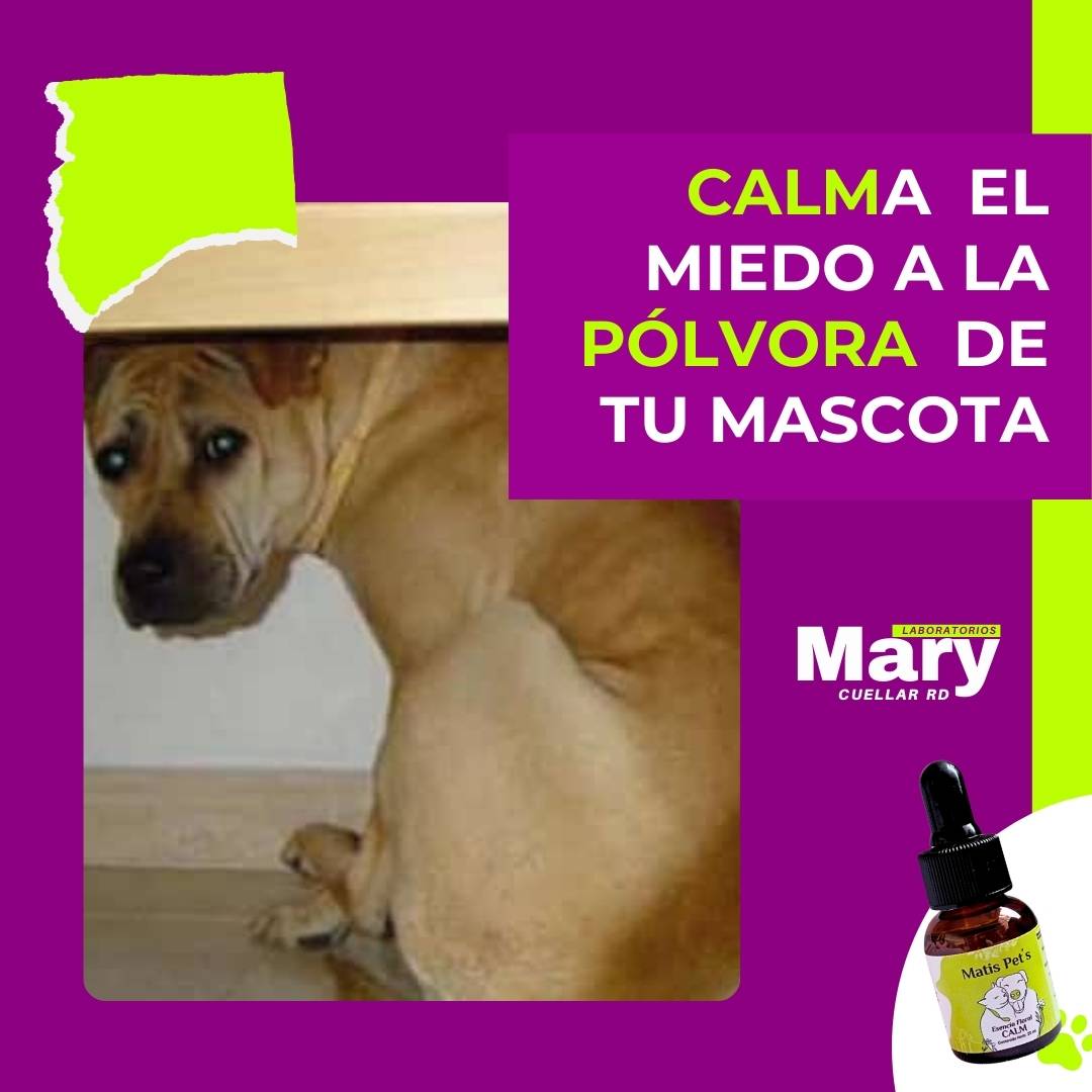 CALMa tu perro o gato de la pólvora